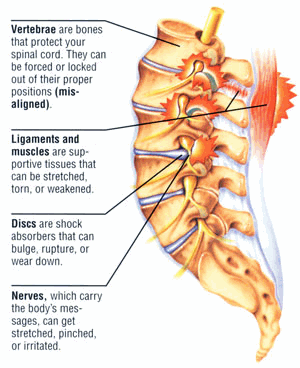 back pain vertebrae